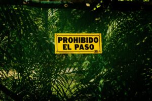 Guía paso a paso de requisitos para certificación en máster de inglés 3 pexels photo 28236577